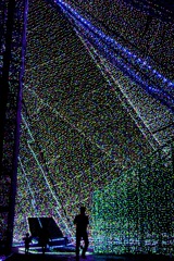IMG_3873