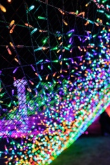 IMG_3893