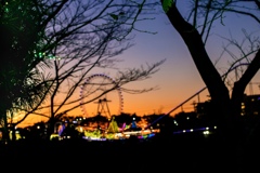 IMG_3848