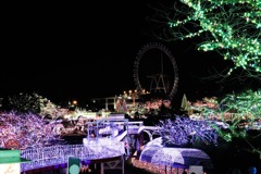 IMG_3908