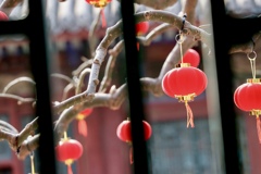 頤和園（いわえん）2