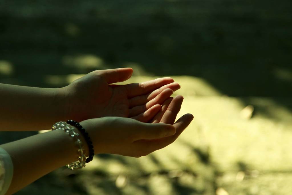 優しい手のきみ