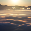 甘利山の雲海