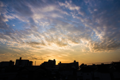 秋晴れ
