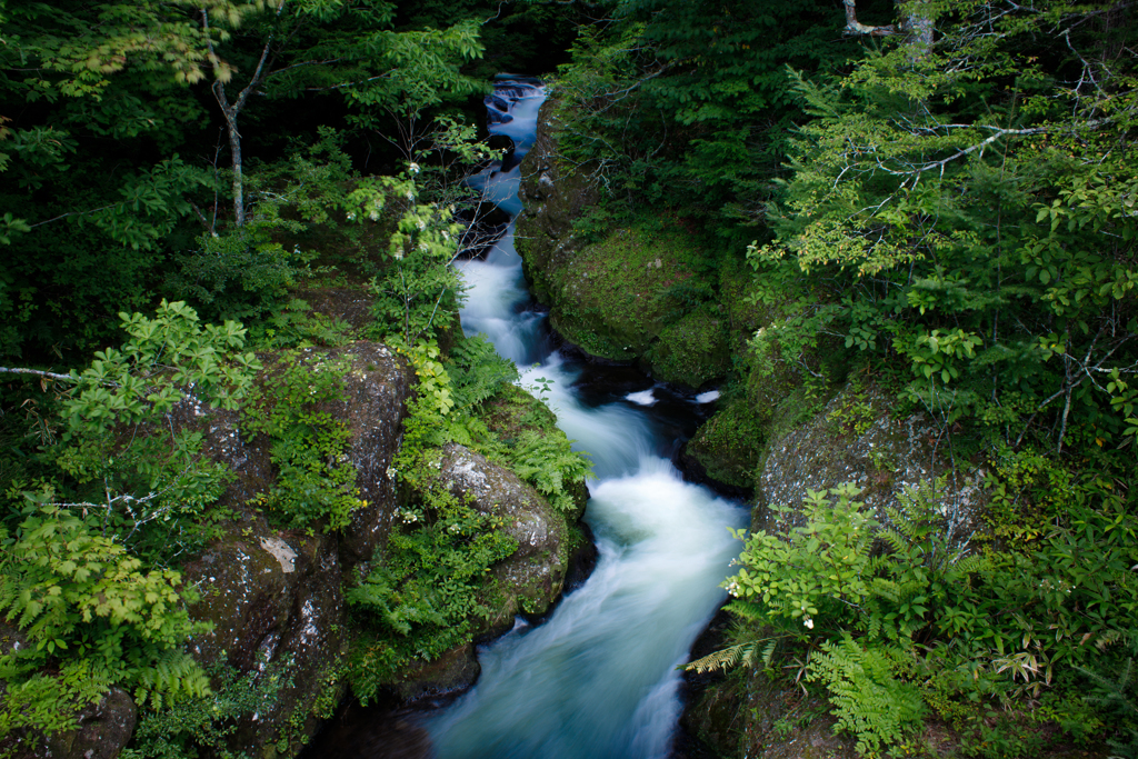 湯川