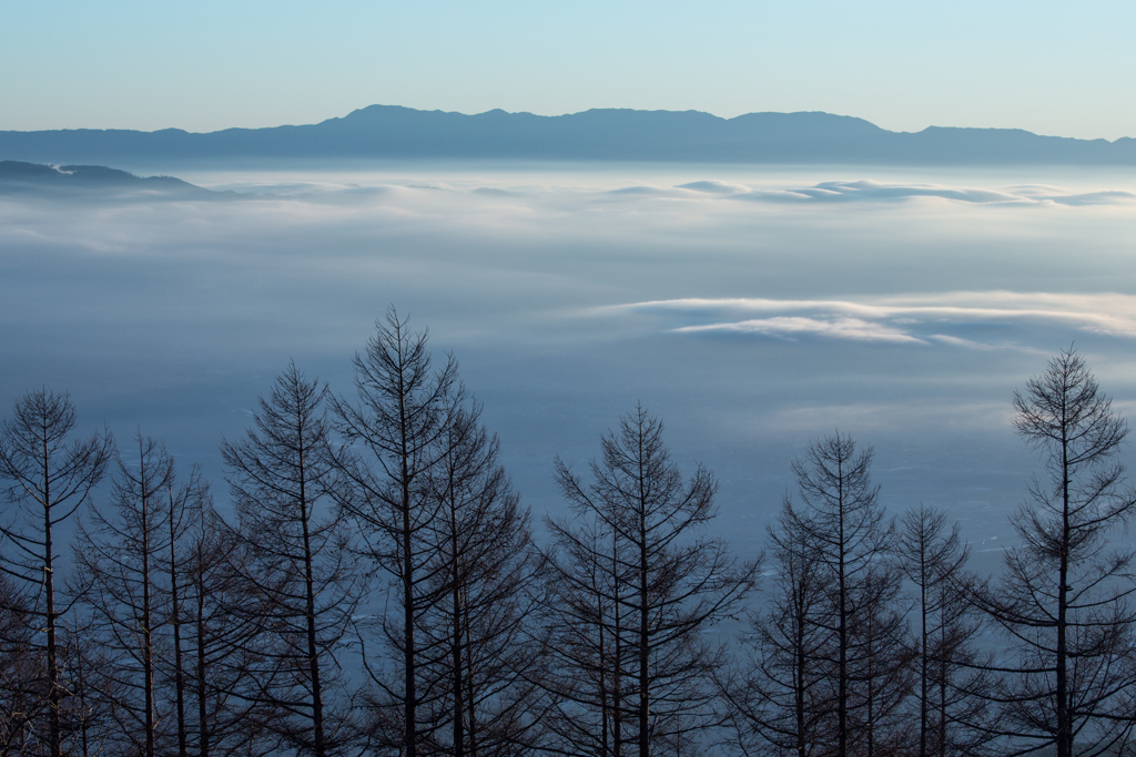 甘利山の雲海
