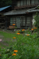 田舎