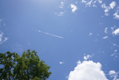 夏の予感