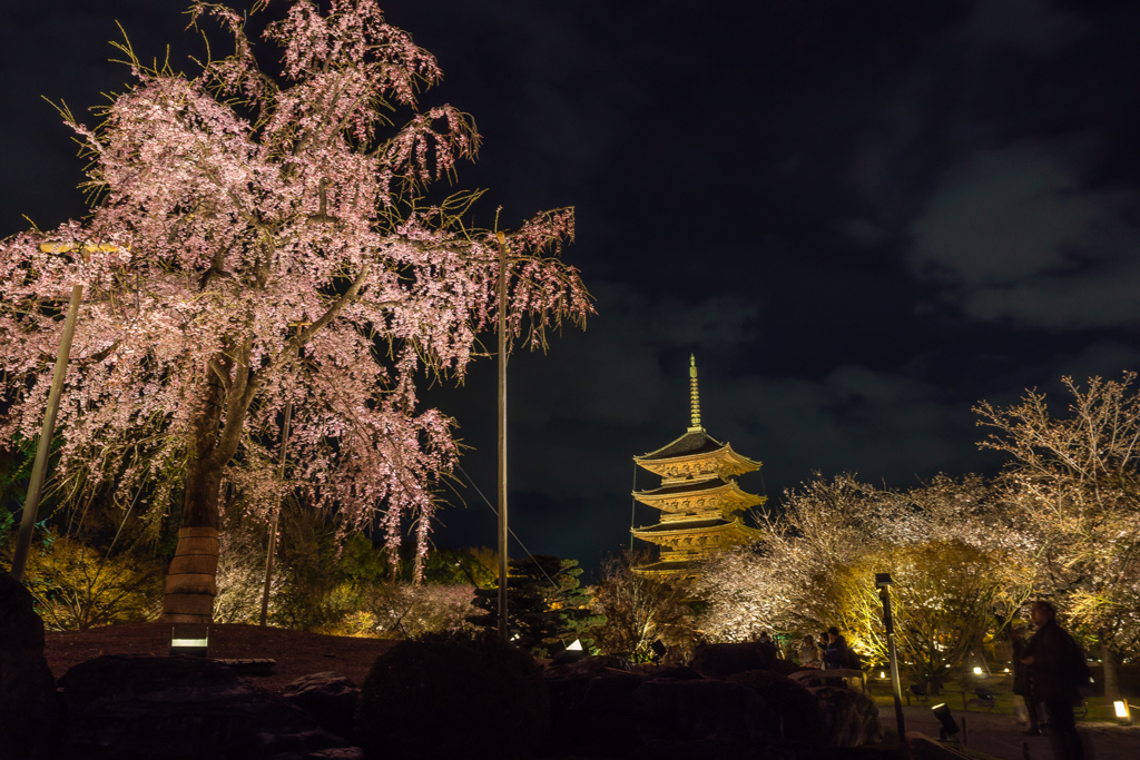 東寺ライトアップ