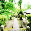 巨木が迎える神社