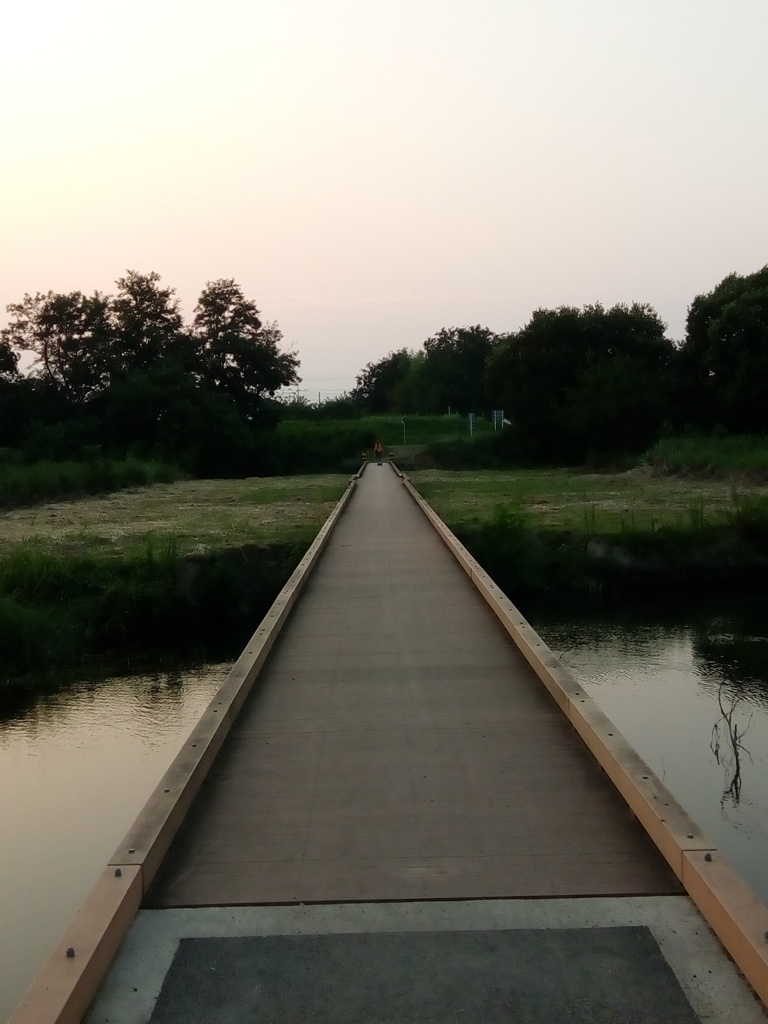 橋