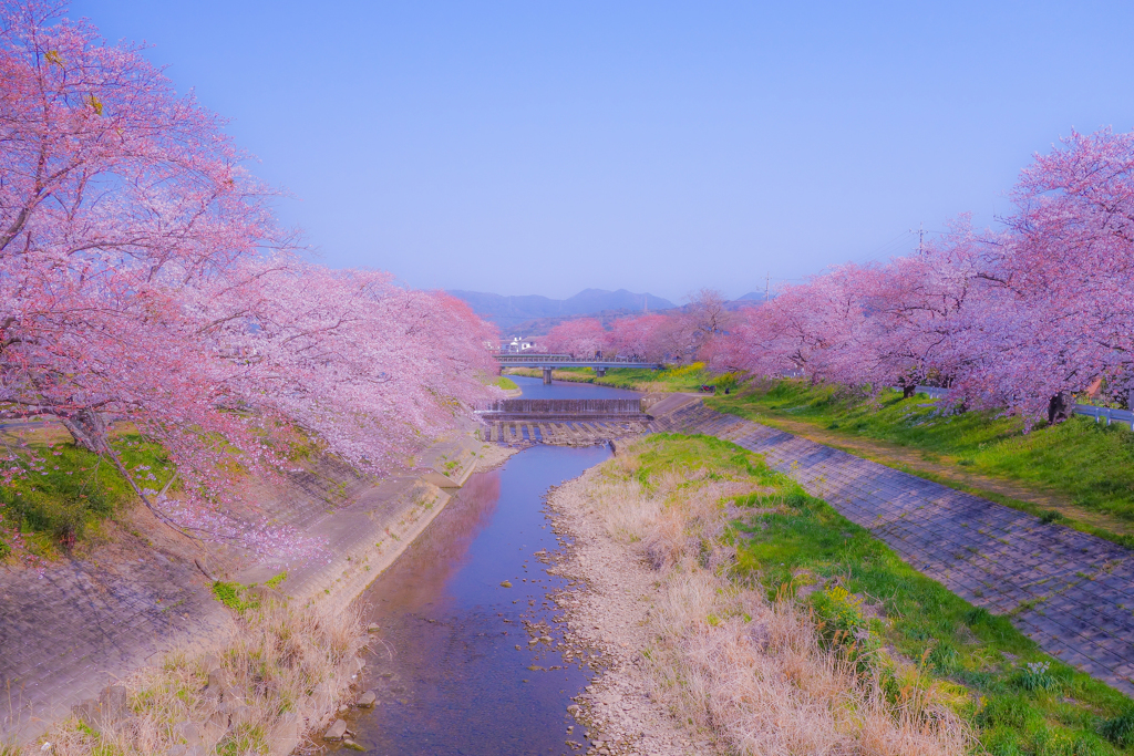 今日の愛知はいい天気☆