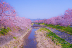 今日の愛知はいい天気☆