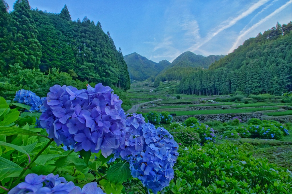 梅雨の合間に・・・