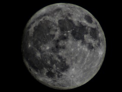 月明かりに照らされて