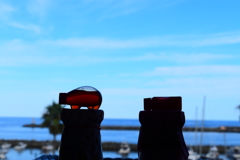 名物