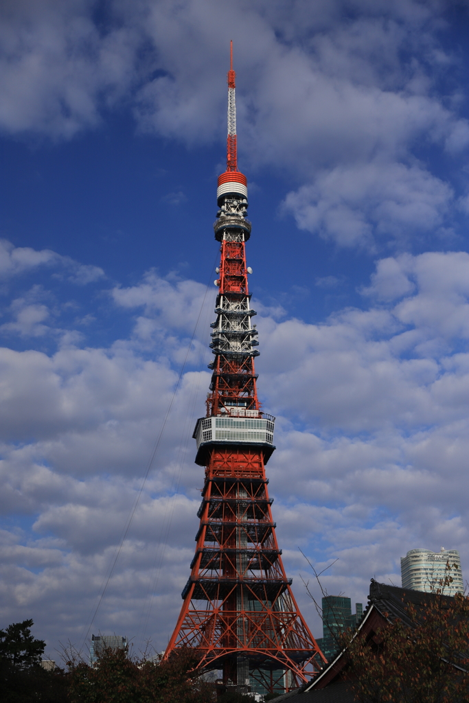 朝の東京