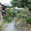 京都の町並み