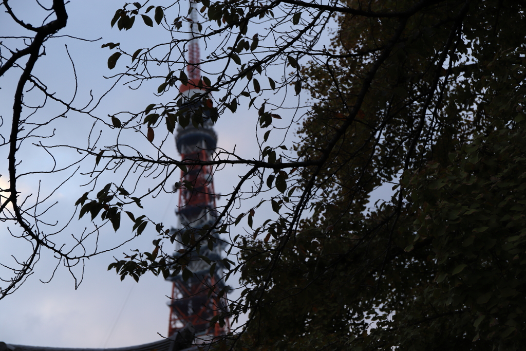 東京タワー