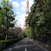 東京タワー
