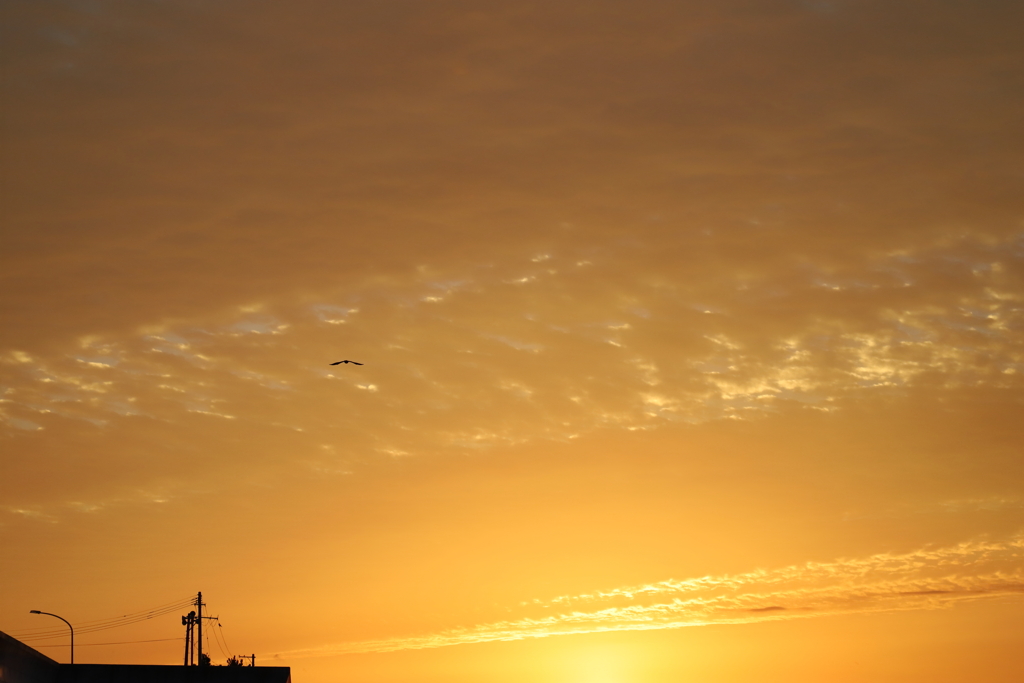 秋空