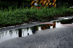 踏切の水たまり