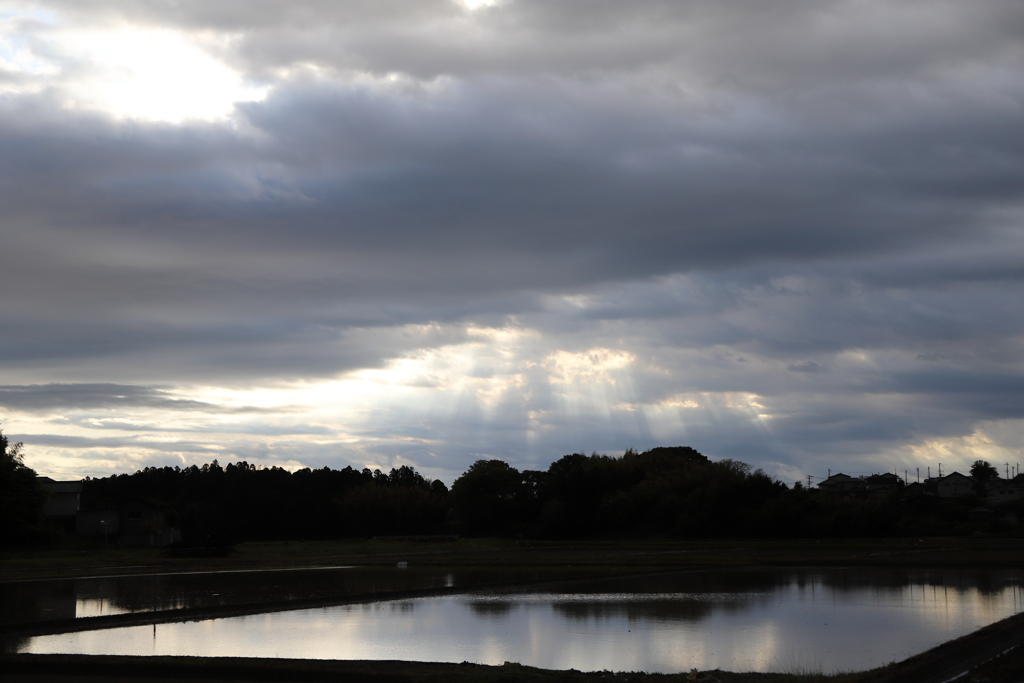 田雲