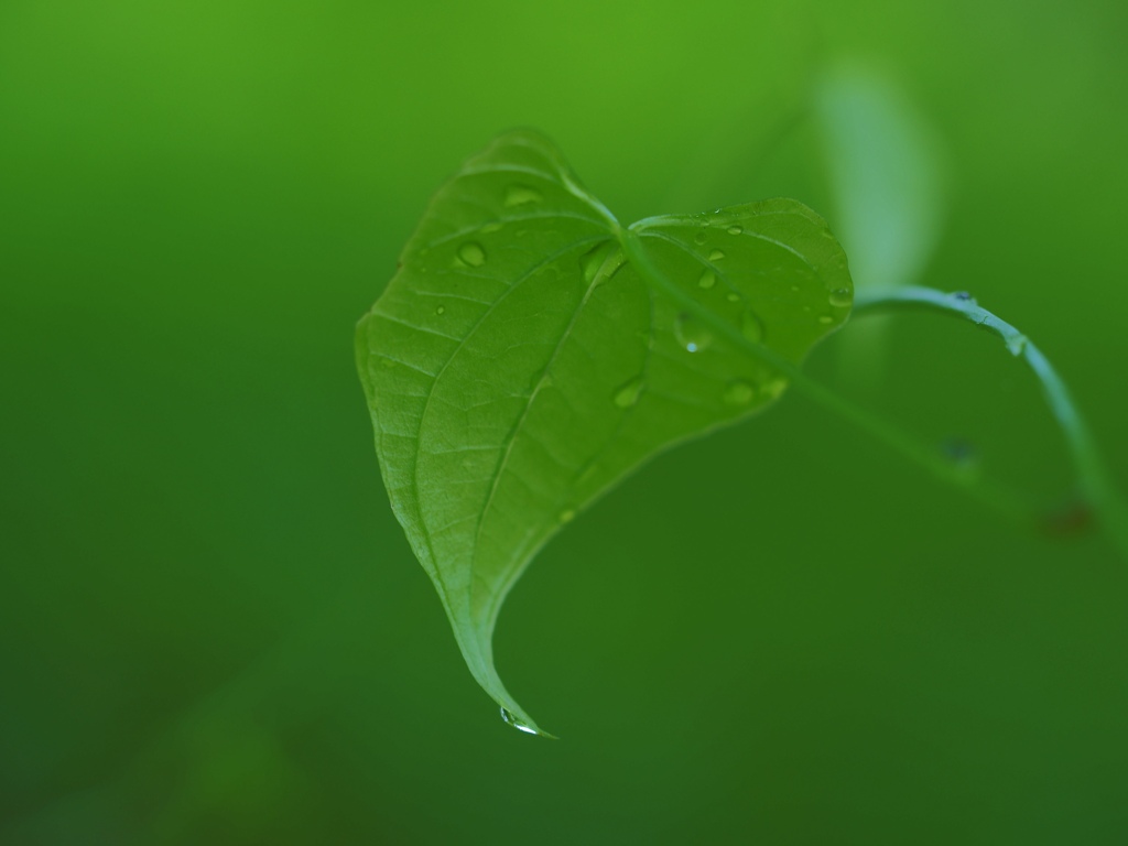 Green...green 