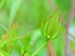 Towards a new life