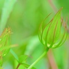 Towards a new life