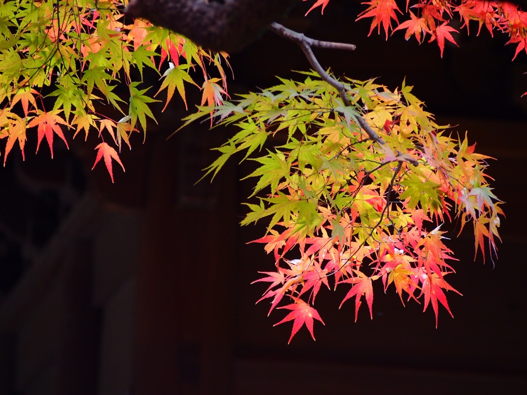 平林寺 2