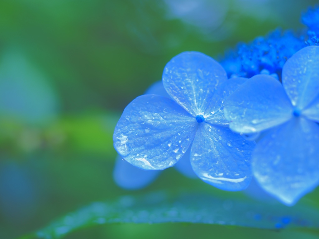 High key blue