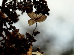 Winters2