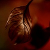 Winters6
