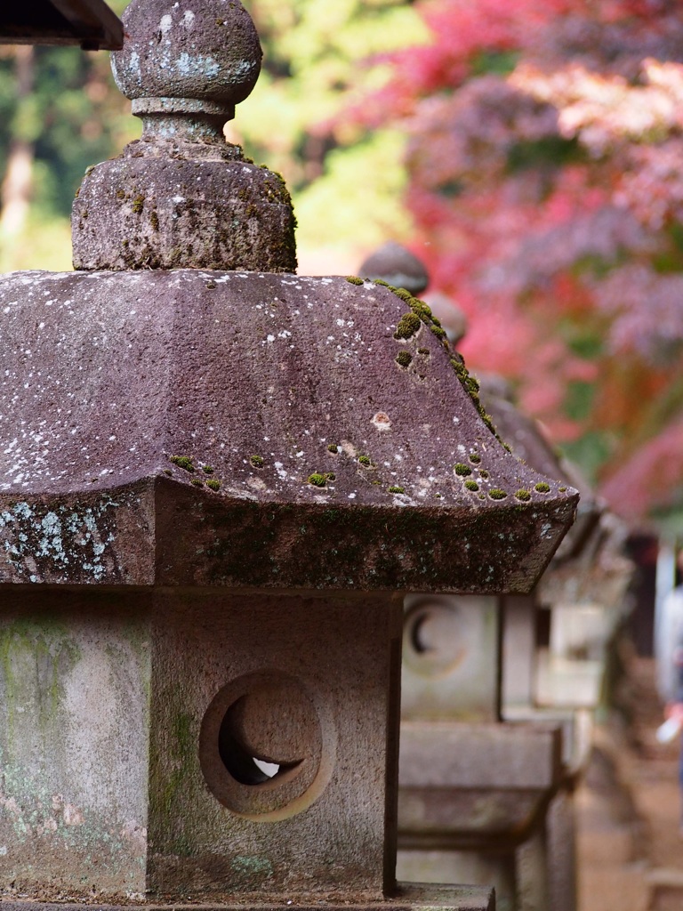 平林寺 7