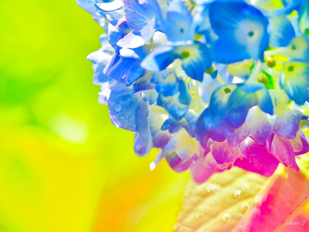 June wind color 4