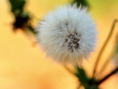 Colours10