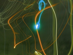 Night walk