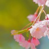 feel the spring 35