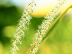 Colours12