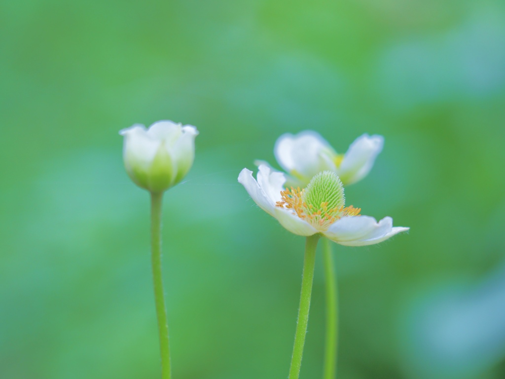 穏やかな時間