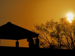 Western sun