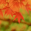 見〜つけたぁ　その2