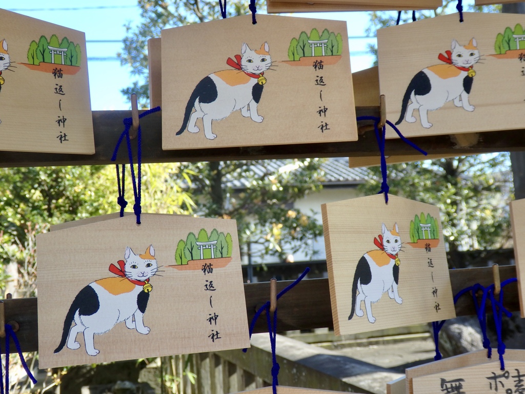 猫絵馬