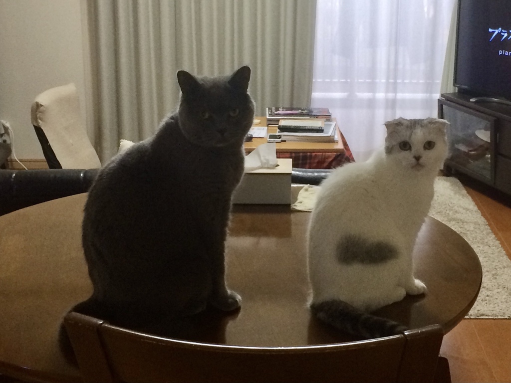 シンクロ　その2