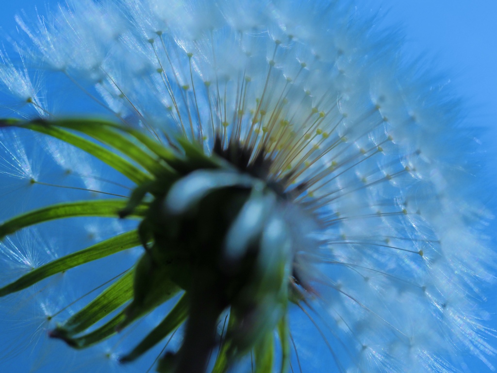 Under the blue sky