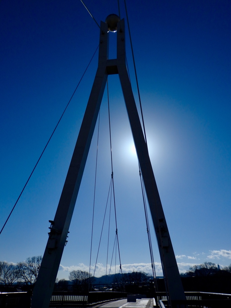 浅川に架かる橋