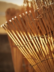 Objects8