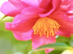 Colours17