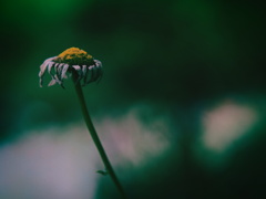 Lonely lonely time